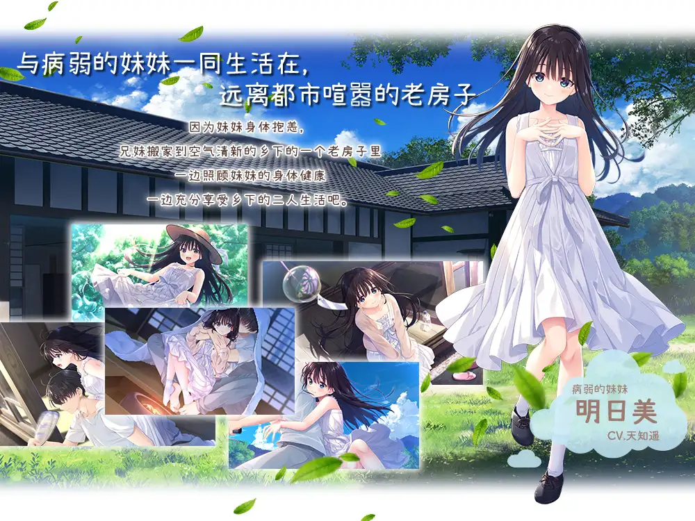 【RPG/官中/动态无码】痴情哥哥与病弱妹妹的乡间生活 Steam官方中文步兵版【3G】【微云网盘/直链】