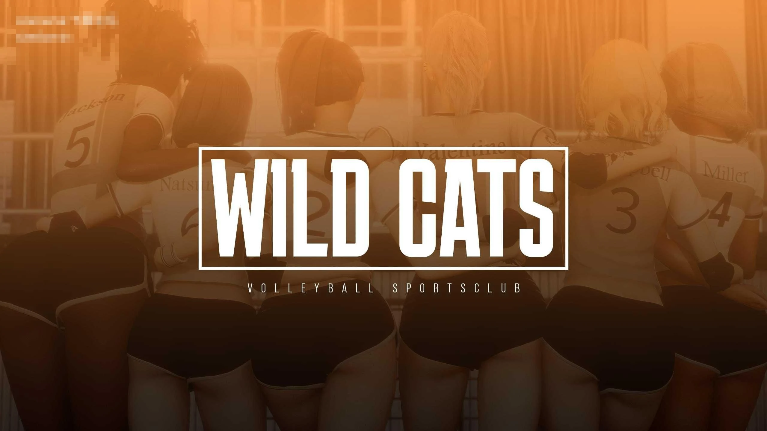 野猫 Wild Cats 〔官中+无码+动态〕【SLG】〔13.0G〕【pc+安卓+mac】〔百度云/FM〕